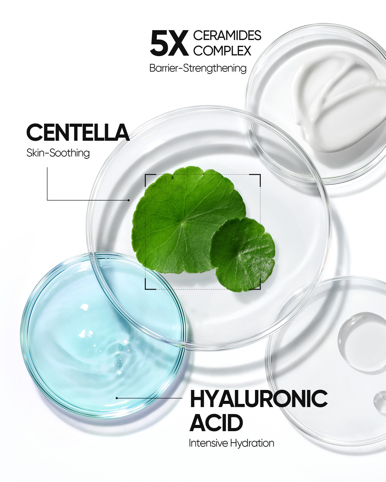 5X Ceramide Barrier Repair Moisture Gel